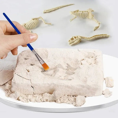 DinoLearn | Educatieve dinosaurus-fossielen-set