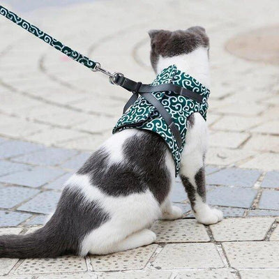 Micky | Katten harnas