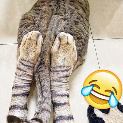 Anne | Sokken met 3D dierenmotief