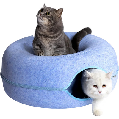 Kity | Katten grot