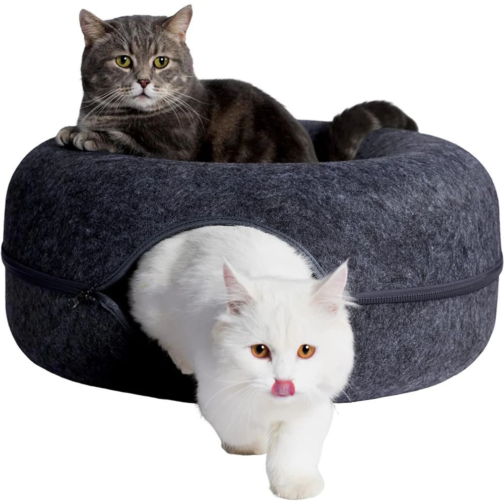 Kity | Katten grot