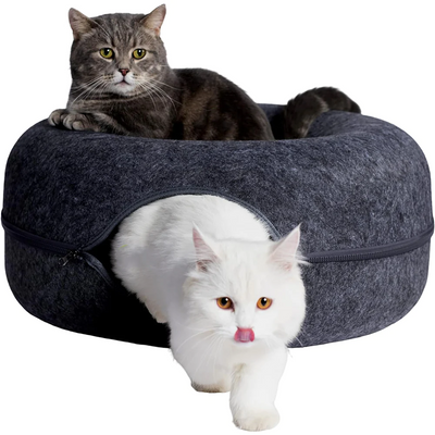 Kity | Katten grot