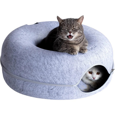 Kity | Katten grot
