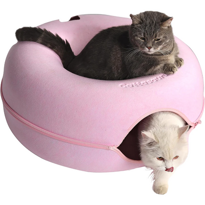 Kity | Katten grot