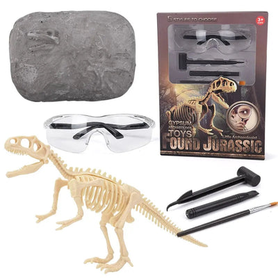 DinoLearn | Educatieve dinosaurus-fossielen-set