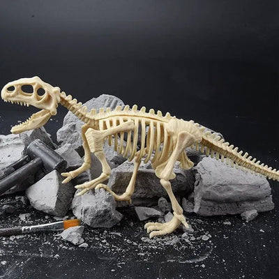 DinoLearn | Educatieve dinosaurus-fossielen-set
