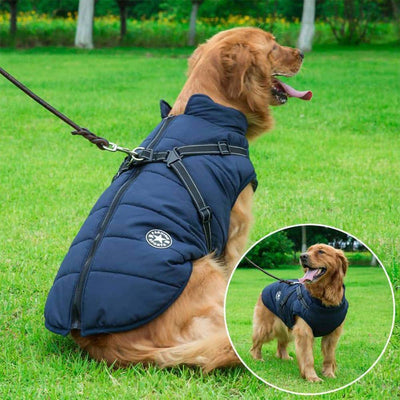CozyBuddy | Waterdichte Winterjas voor Honden