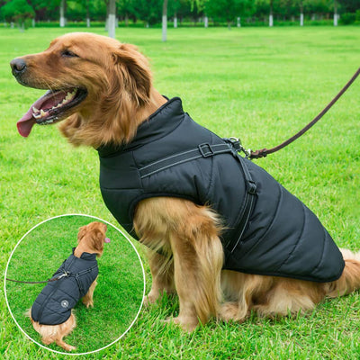 CozyBuddy | Waterdichte Winterjas voor Honden