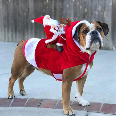 Piku | kerstkostuum voor hond