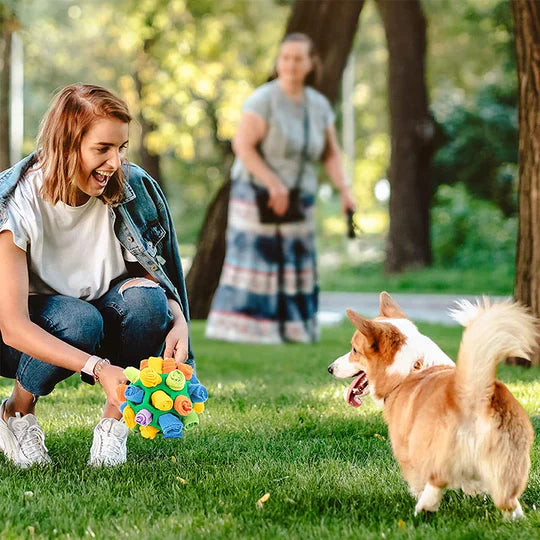 Sniffing Chew Toys