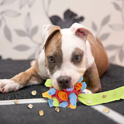Sniffing Chew Toys