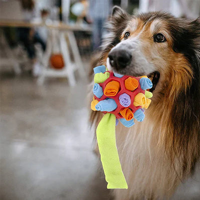 Sniffing Chew Toys