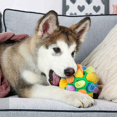 Sniffing Chew Toys