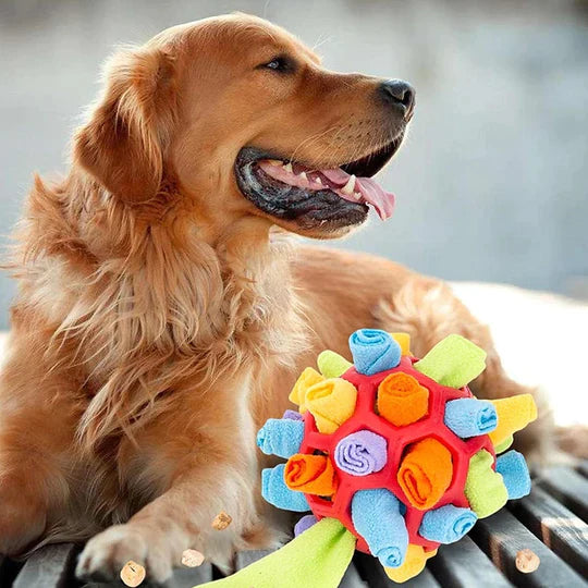 Sniffing Chew Toys