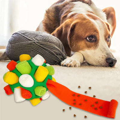 Sniffing Chew Toys