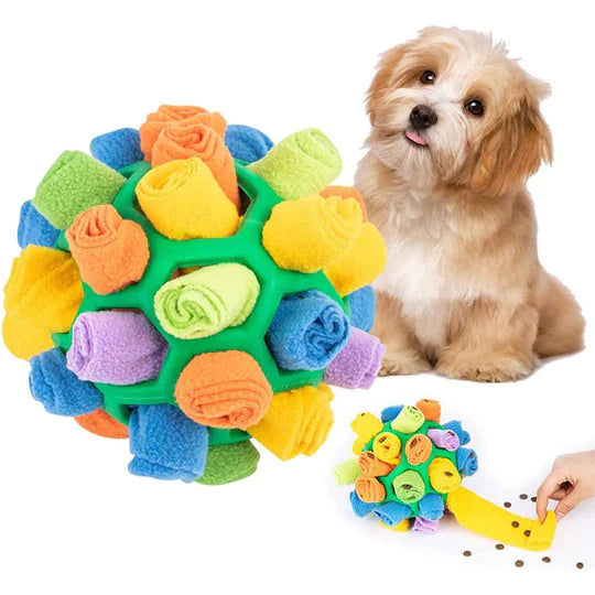 Sniffing Chew Toys