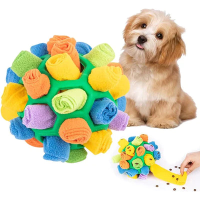 Sniffing Chew Toys