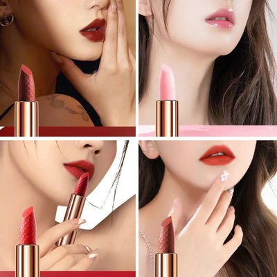 Matte lippenstift in een stijlvolle etui