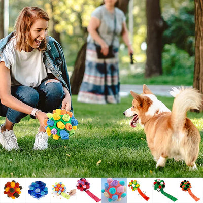 Sniffing Chew Toys