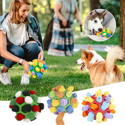 Sniffing Chew Toys