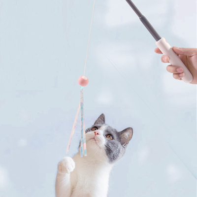 Uitschuifbare kattenspeeltje