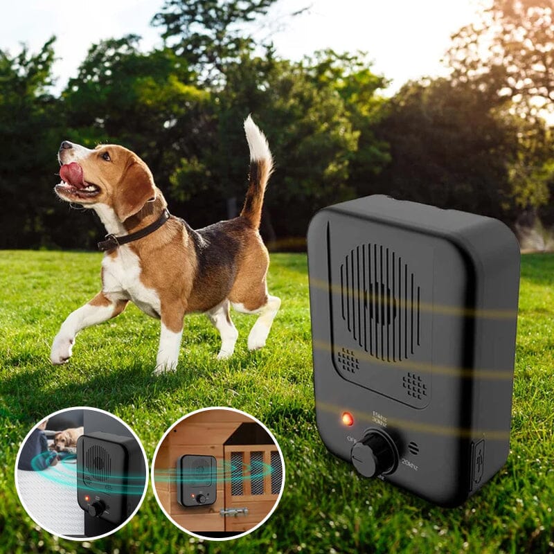 Barking Control