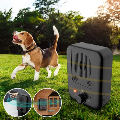 Barking Control