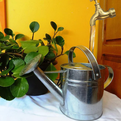 Magische Tapkraan Fontein | Unieke Huis en Tuin Decoratie