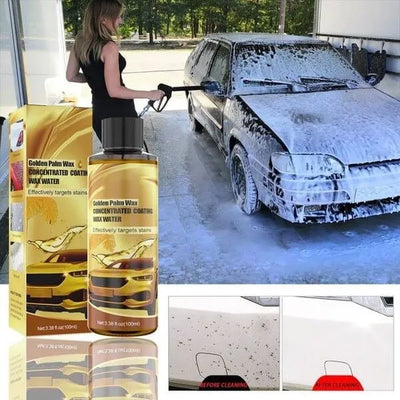 Golden Car Wash | 1+1 GRATIS
