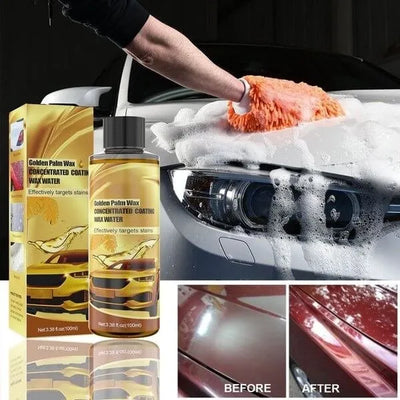 Golden Car Wash | 1+1 GRATIS