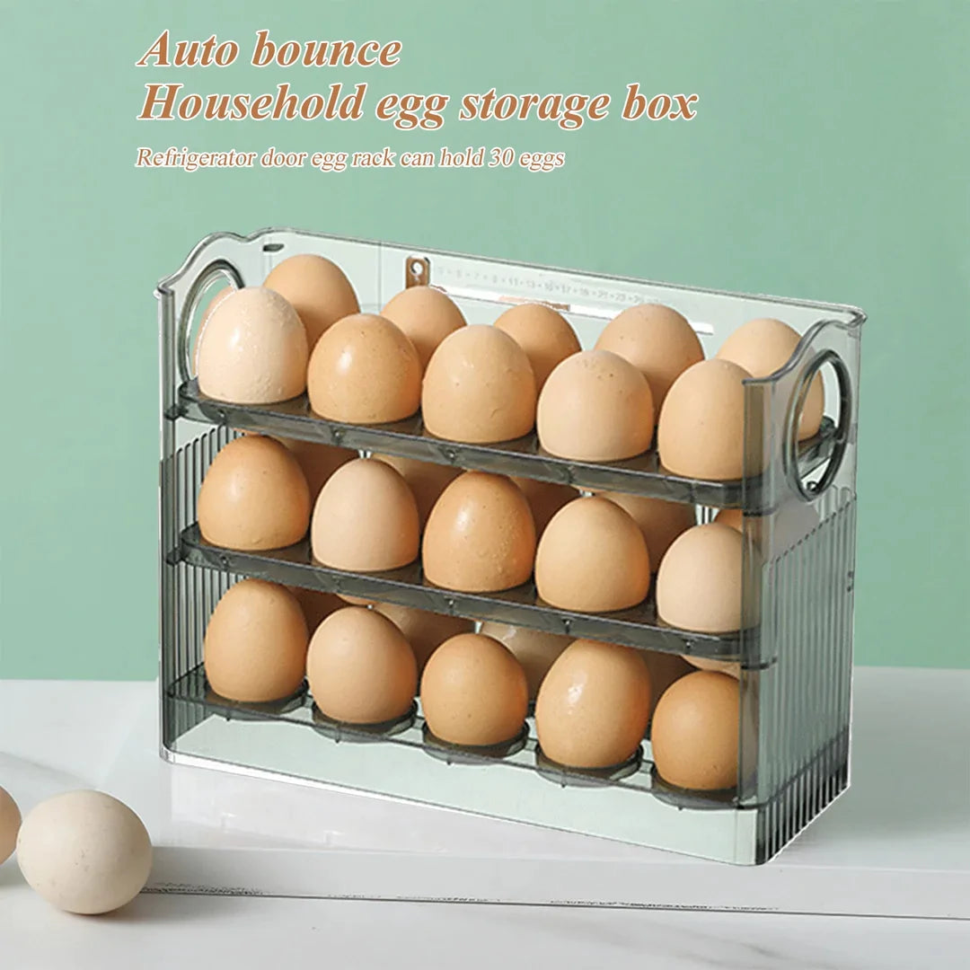 Egg Holder Pro