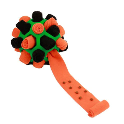 Sniffing Chew Toys
