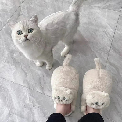 Emily | Gezellige kattensloffen