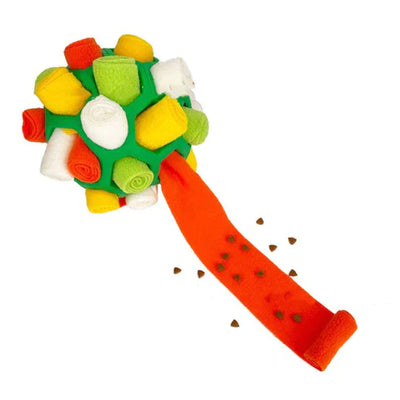 Sniffing Chew Toys