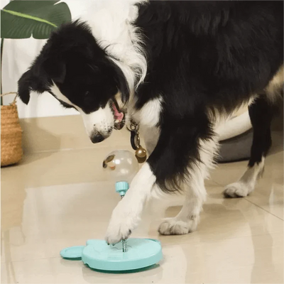 Petfeeder | Educatief speelgoed voor dieren