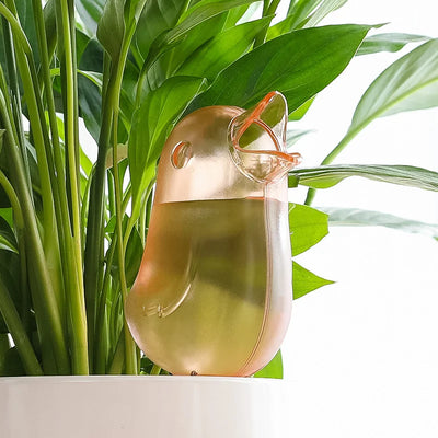 Vogel waterdruppelaar
