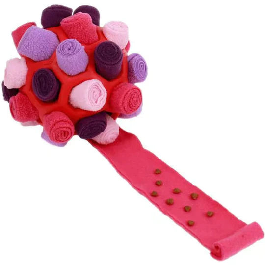 Sniffing Chew Toys