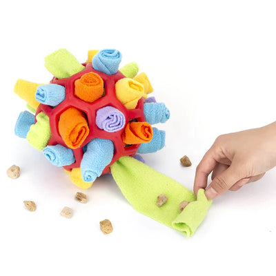 Sniffing Chew Toys